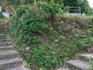 工事前の墓地外周の法面